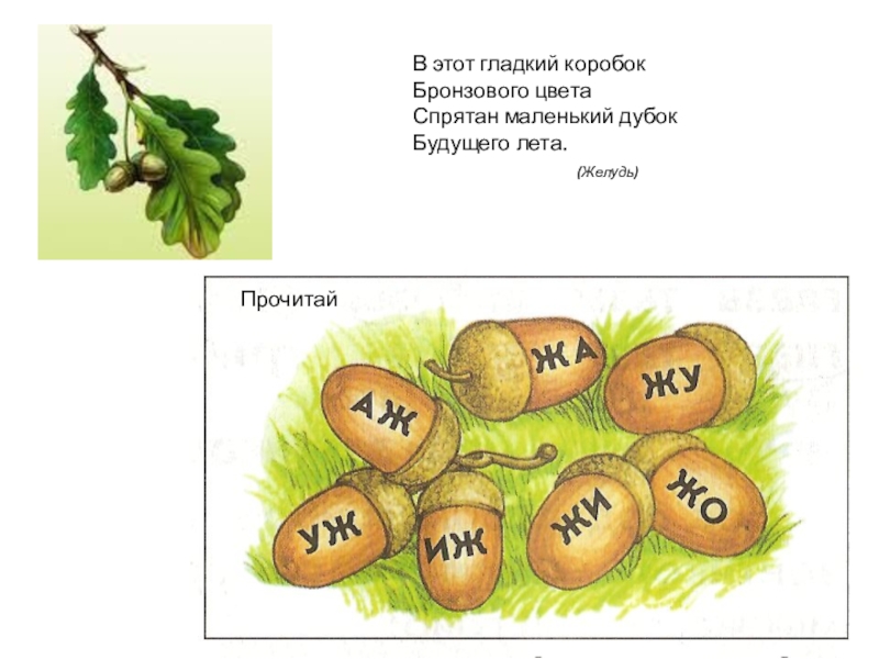 Обучение грамоте 1 класс буква ж презентация 1 класс