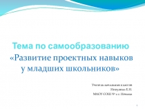 Развитие проектных навыков у младших школьников