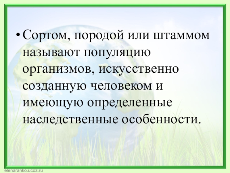 Презентация на тему основы селекции