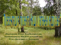 Презентация экологического проекта Наши маленькие друзья