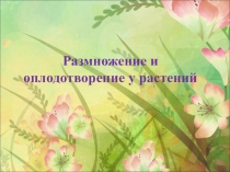 Презентация по биологии на тему Размножение и оплодотворение у растений