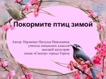 Презентация Покормите птиц зимой!