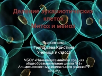 Деление эукариотических клеток. Митоз и мейоз