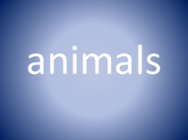 Презентация к обобщающему уроку World animals для 5 класса (по учебнику Spotlight 5)