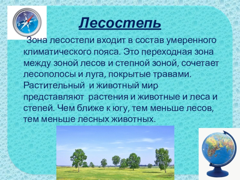 Лесостепь Зона лесостепи входит в состав умеренного климатического пояса. Это переходная зона между зоной лесов