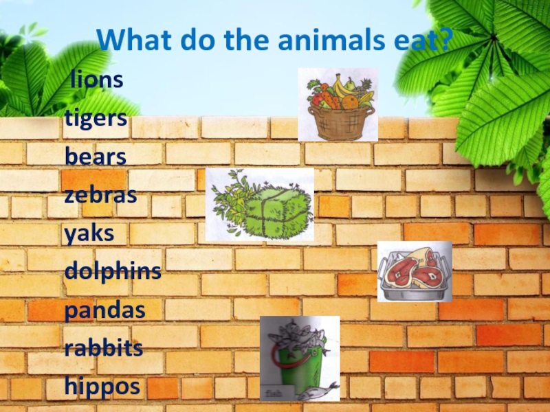 What do the animals eat?    lions    tigers    bears