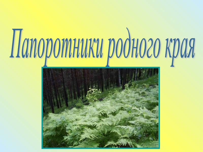 Особенности жизнедеятельности папоротников. Характеристики папоротникообразных родного края Россия.