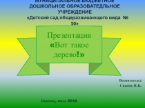 Презентация по познавательному развитию на тему Вот такое дерево (Старшая группа)