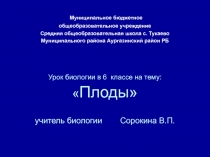 Презентация по биологии на тему Плоды (6 класс)