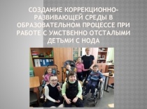 Создание коррекционно-развивающей среды в образовательном процессе при работе с умственно-отсталыми детьми с НОДА