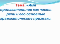 Имя прилагательное и его грамматические признаки