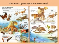 Презентация к уроку природоведения в 5 классе по теме Среда обитания животных