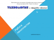 Презентация к защите творческого проекта Зырянова Никиты /9 класс/ Работа с пенопластом