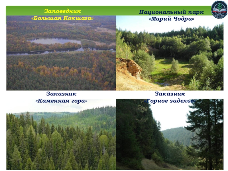 Заповедник большая кокшага презентация