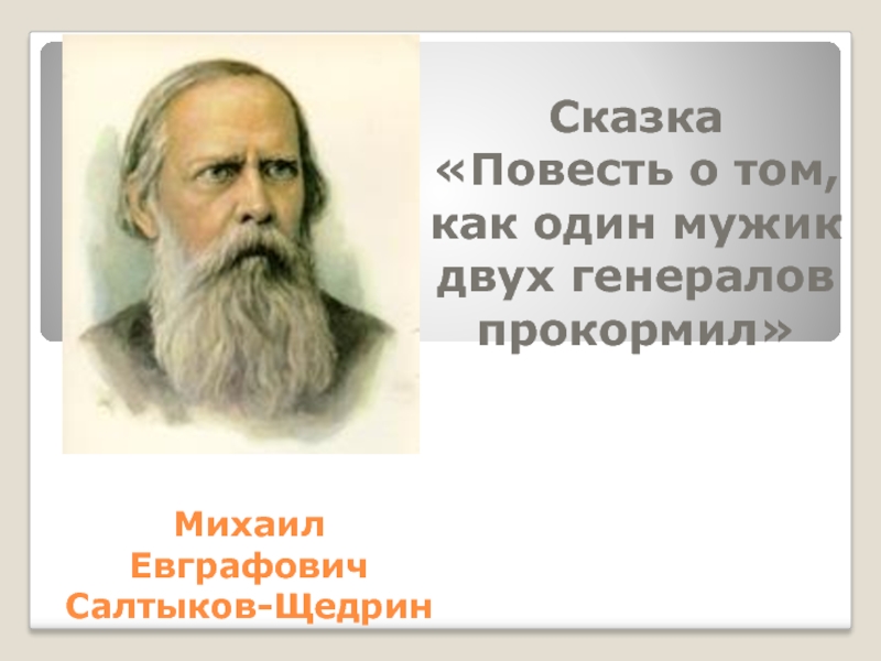 План о повести о том как один мужик двух генералов прокормил