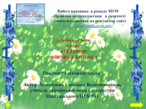 Презентации к урокам по теме Существительное в 6 классе