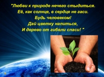 Презентация проекта Школьный двор (5-8 классы)