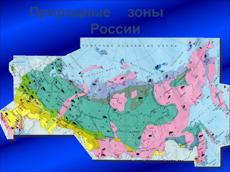 Цветом покажите природные зоны. Природные зоны. Карта природных зон. Природные зоны России. Зона арктических пустынь на карте России.