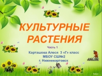 Презентация по окружающему миру часть1 Культурные растения 3 класс Школа 21 века