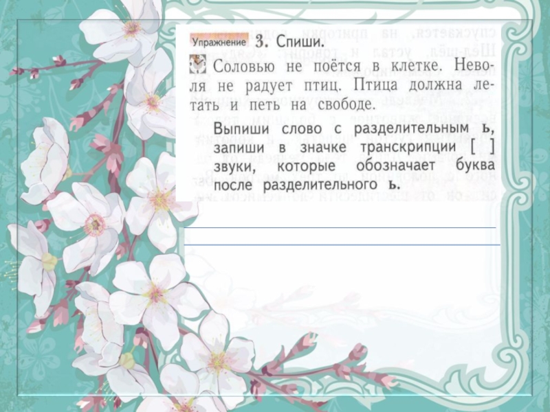 Текст соловьев. Соловью транскрипция 1 класс. Соловью не поется в клетке неволя не радует птиц. Транскрипция слова соловьи. Спиши соловью не поется в клетке неволя не.