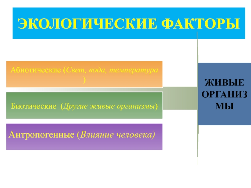 Экологические факторы среды 5 класс биология презентация