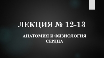 Мультимедийная презентация Сосудистая система: сердце и его строение