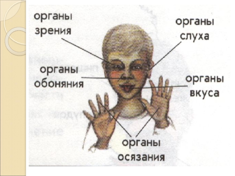Цитаты о пришельцах. Фразы про стеснение. Расходимся мемы. Что происходит при охлаждении. Картинки на тема корректировка.