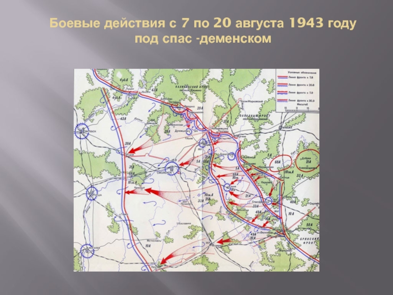 Ельнинская наступательная операция карта