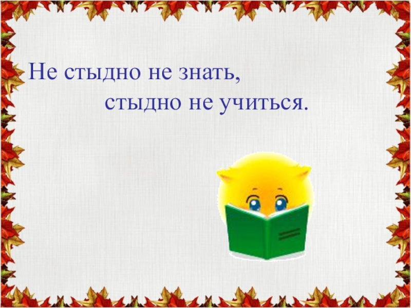 Не стыдно не знать стыдно не учиться презентация 4 класс родной русский язык