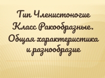 Презентация по биологии на тему  Ракообразные