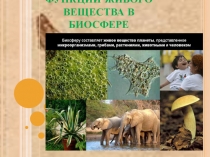 Презентация Функции живого вещества в биосфере