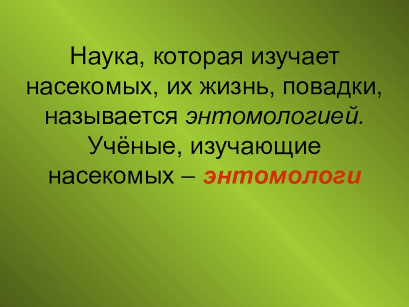 Наука изучающая насекомых. Науки которые изучают насекомых. Что изучает наука. Энтомология это наука изучающая.