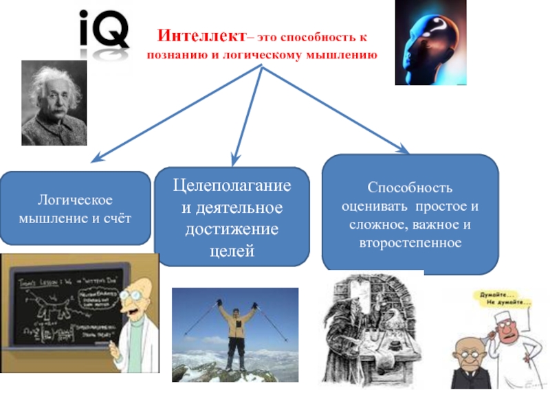 Интеллект презентация по психологии