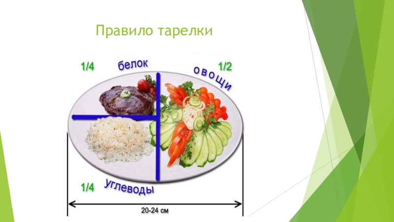 Правило тарелки. Правило тарелки 5 цветов.