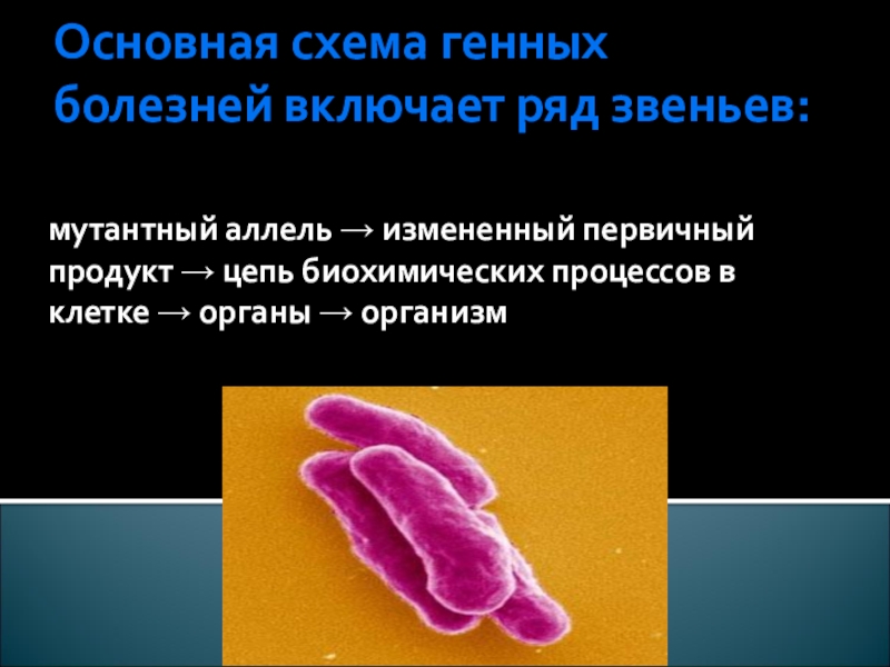 Презентация на тему генные болезни