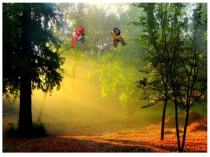 Презентация к уроку математики №2