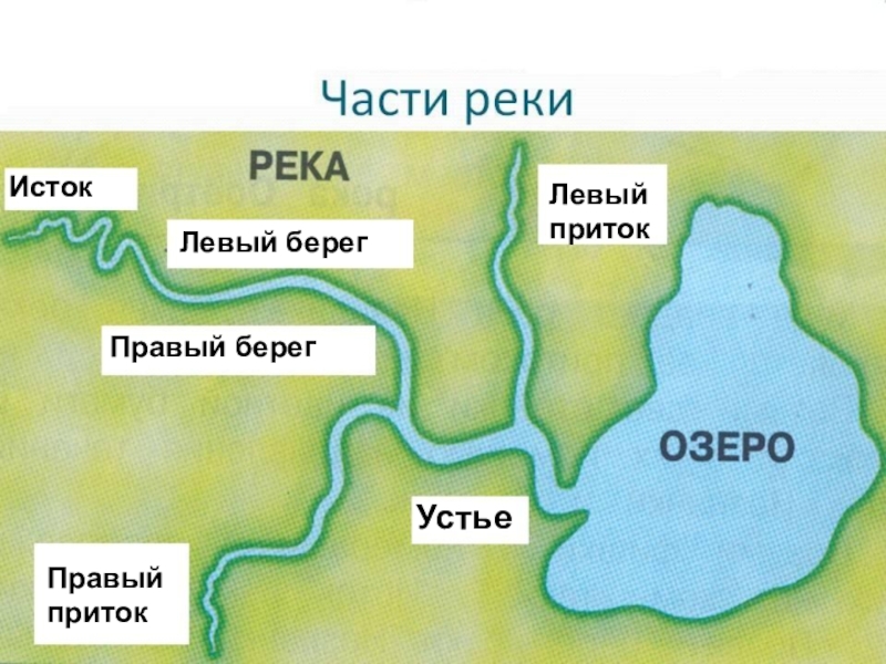 Окружающий мир 2 класс водные богатства конспект урока презентация урока