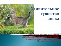 Презентация по окружающему миру н тему Удивительное существо- кошка (4 класс)