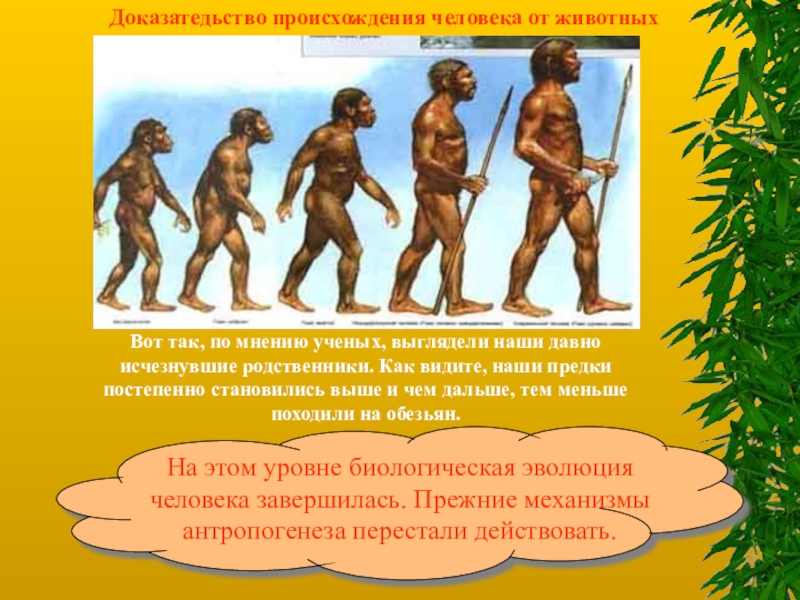 Как появился человек на земле 5 класс биология презентация пономарева