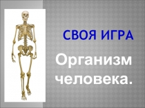 Презентация - Своя игра Скелет человека