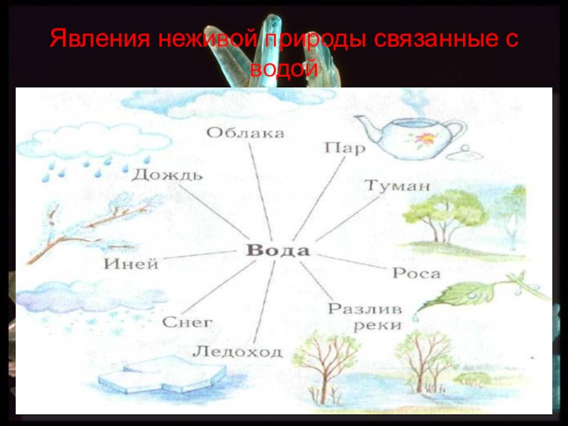 Окружающий мир явление неживой природы. Природные явления связанные с водой. Явления не Живлй природы. Явления живой природы. Явления неживой природы нежи.