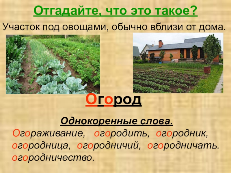 Огород предложение. Слова на тему огород. Огород для презентации. Словарные слова по теме огодюрод. Словарные по теме огород.