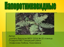 УРОК ПО ТЕМЕ ПАПОРОТНИКОВИДНЫЕ С ПРЕЗЕНТАЦИЕЙ