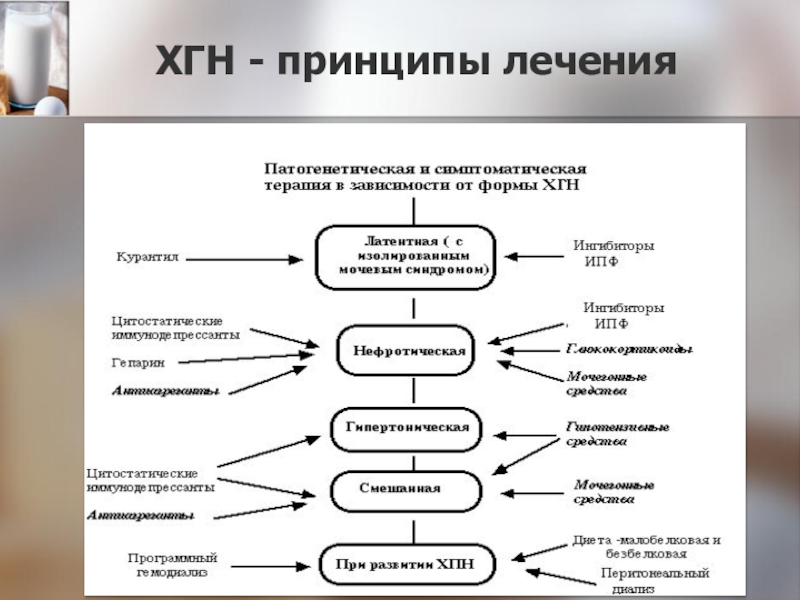 Сестринская помощь при гломерулонефрите презентация