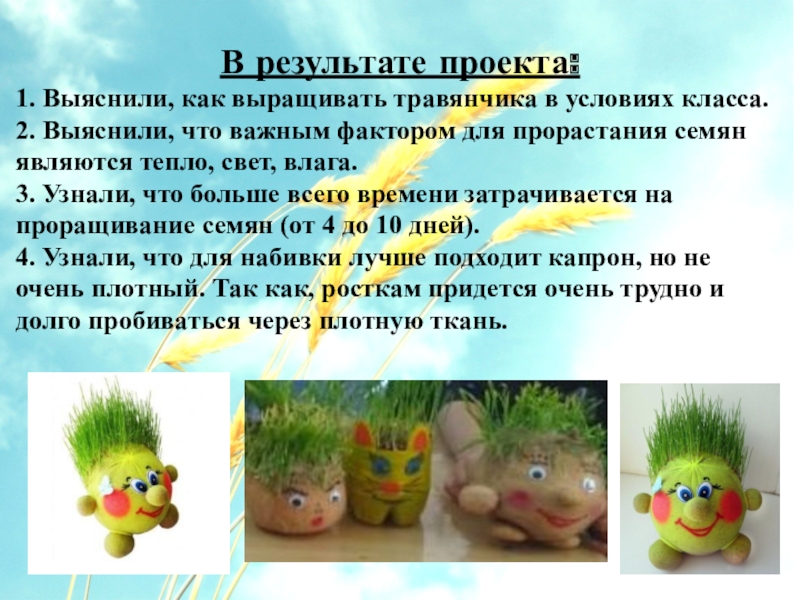 Схема изготовления травянчика. Травянчик зайчик. Травянчик. Как ухаживать за травянчиком. Как вырастить травянчика.