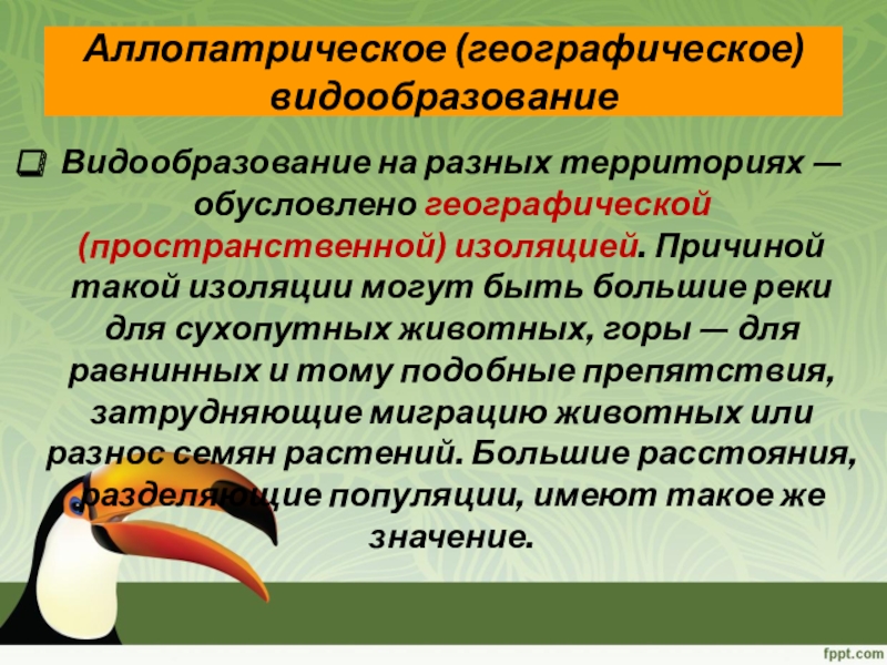 Видообразование биология 9 класс презентация пасечник