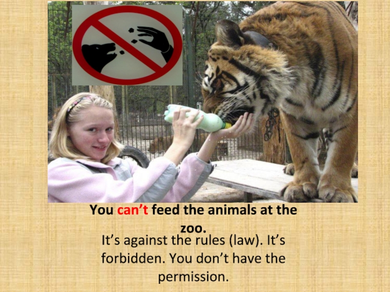 Men zoos radios weather bags children. Rules at the Zoo. Don’t Feed the animals. Animals at the Zoo. Don't Touch the animals at the Zoo.