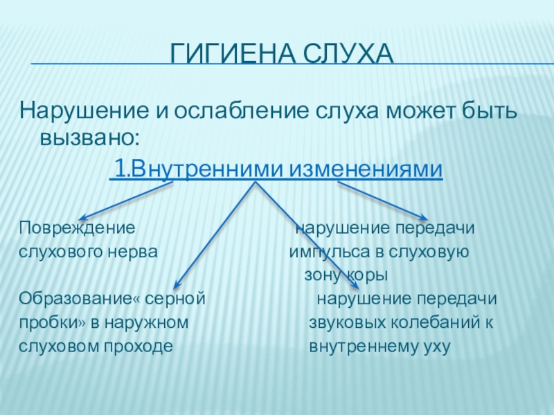 Презентация по биологии 8 класс органы слуха и равновесия их анализаторы