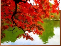 1 класс Презентация к уроку Звук[ и], буква иИ