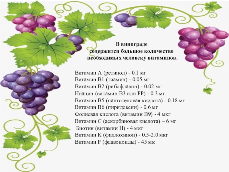 Какого витамина больше всего в винограде. Витамины в винограде. Виноград полезное витамины. Виноград какие витамины содержит. Какие витамины в винограде.
